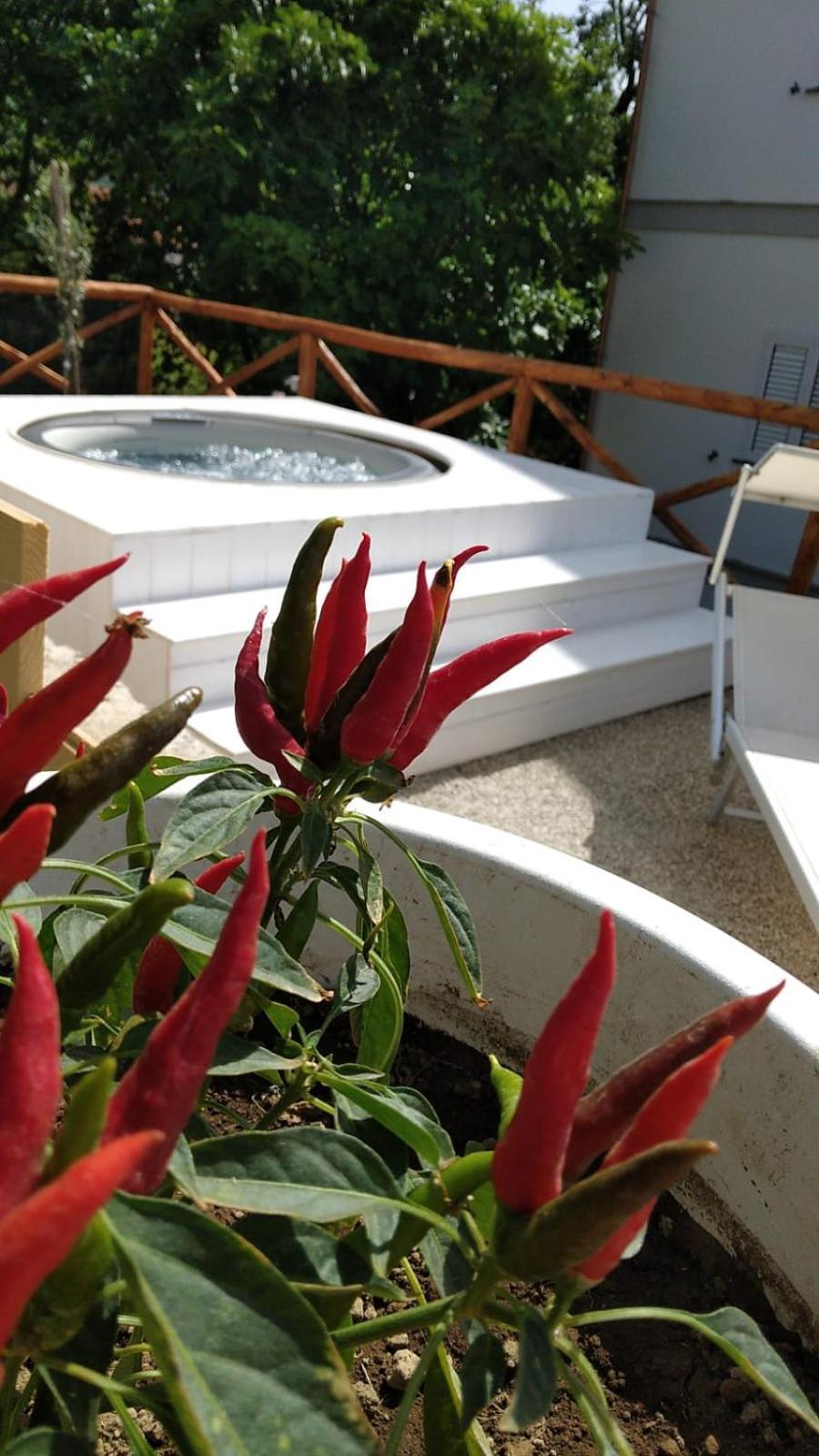 Apartment Four White Agerola